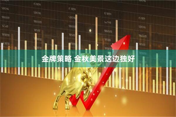金牌策略 金秋美景这边独好