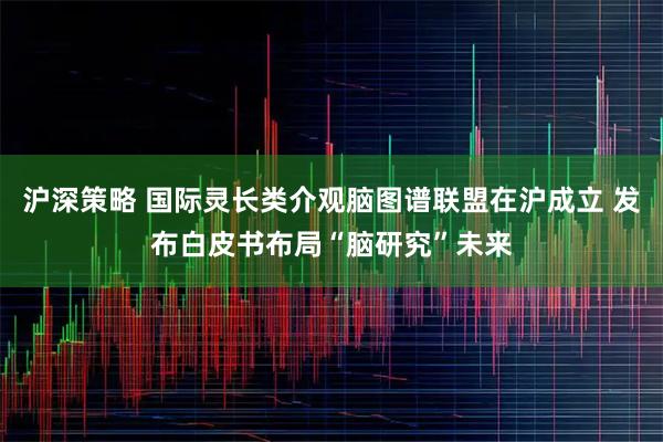 沪深策略 国际灵长类介观脑图谱联盟在沪成立 发布白皮书布局“脑研究”未来