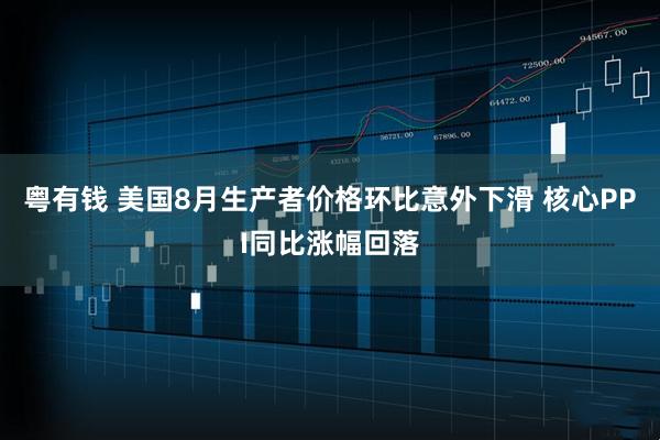 粤有钱 美国8月生产者价格环比意外下滑 核心PPI同比涨幅回落
